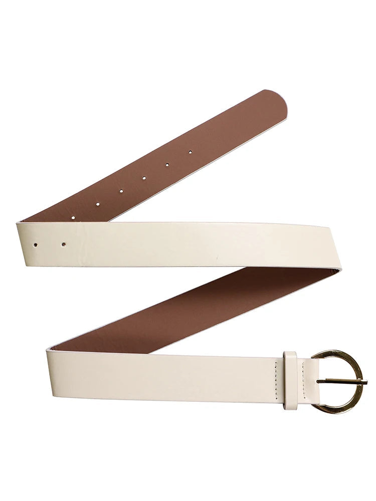 Line Pleated Dress with Belt